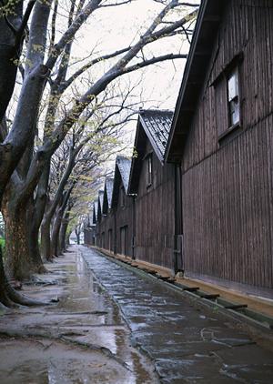 相模原市でのこだわりの住宅設計とは